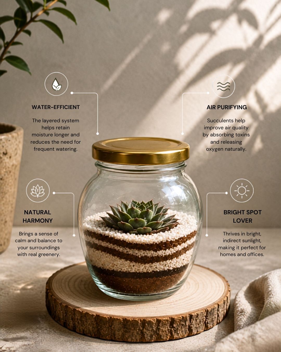 IN-XITU Botanical Product 1