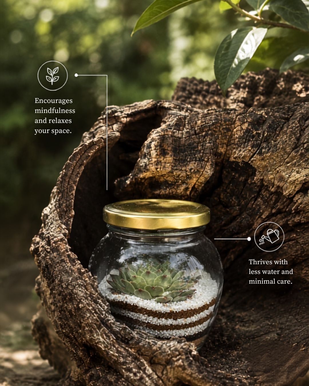 IN-XITU Botanical Product 2