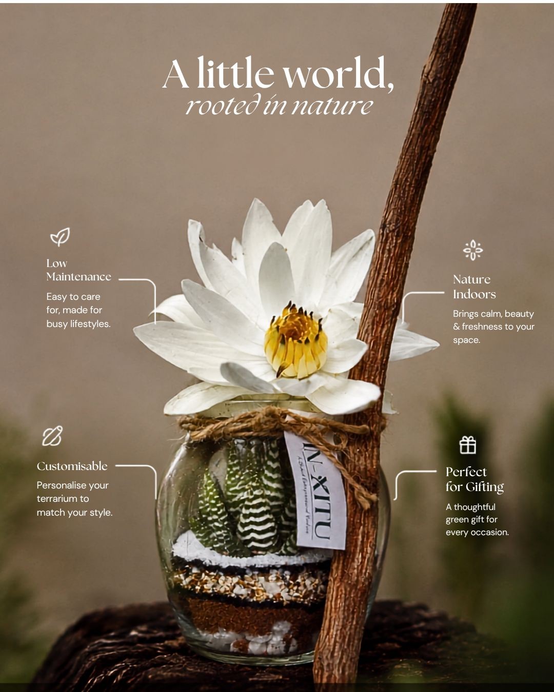 IN-XITU Botanical Product 3