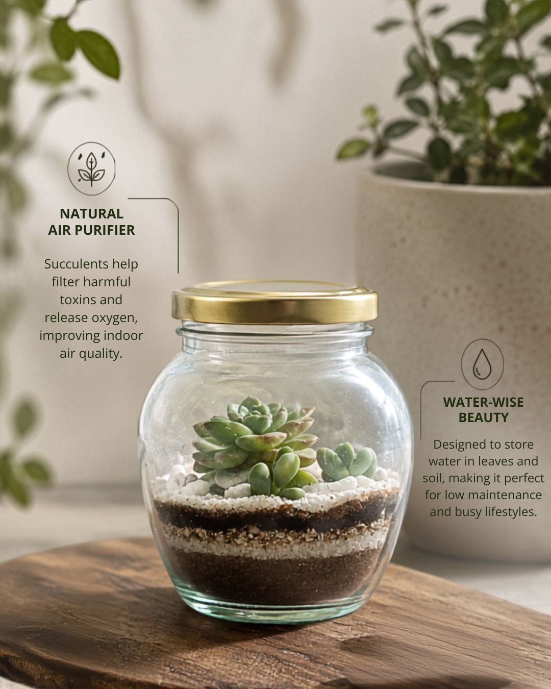 IN-XITU Botanical Product 4